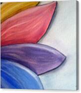 Petals Of Many Colors Canvas Print