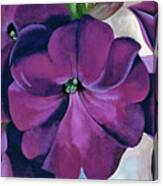 Petunias - Modernist Purple Flower Painting Canvas Print