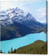 Peyto Lake Canvas Print