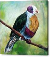 Philippine Bird 5 Canvas Print