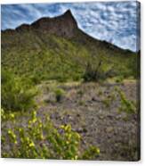 Picacho Peak, Arizona Canvas Print