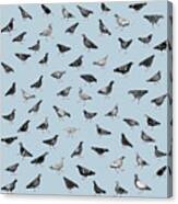 Pigeons Doing Pigeon Things Canvas Print