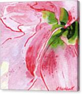 Pink Amaryllis Canvas Print