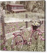 Pink Bicycle In The Farmhouse Poppies Canvas Print