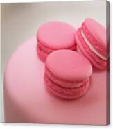 Pink Color French Delicious Macaroons Cookies. Shallow Dof Canvas Print