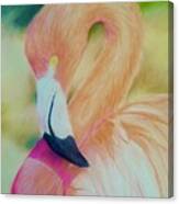 Pink Flamingo Portrait Canvas Print