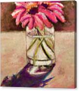 Pink Gerbers Canvas Print