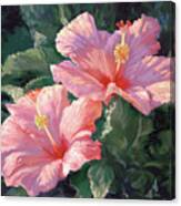 Pink Hibiscus Ii Canvas Print