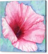 Pink Hibiscus Canvas Print