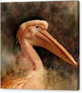 Pink Pelican Bird 81 Canvas Print