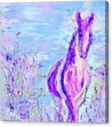 Pink Pony Painting Canvas Print