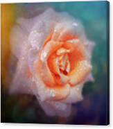 Pink Rose With Textured Background Canvas Print