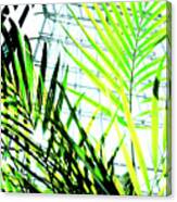 Plants In Mall In Warsaw, Poland 2 Canvas Print