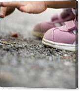 Play In The Dirt Again Canvas Print