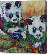 Playful Giant Pandas Canvas Print