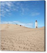 Playing In The Sand Dunes Canvas Print