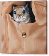 Pocket Pet- Southern Flying Squirrel Canvas Print