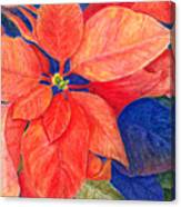 Poinsettia In Orange Red Canvas Print