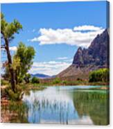 Pond Reflections In Mohave Desert, Nevada Canvas Print