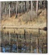 Pond Trees Reflections Canvas Print