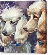 Poodlelucious Canvas Print