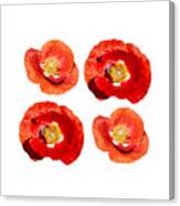 Poppy Design 2021-1 Canvas Print