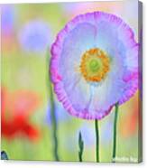 Poppy Flowers Canvas Print