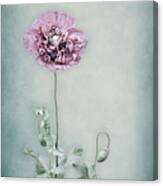 Poppy In Pastel Canvas Print