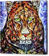 Portrait Of Leopard Canvas Print