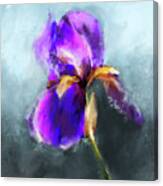 Portrait Of The Purple Iris Canvas Print