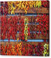 Portuguese Peppers Canvas Print
