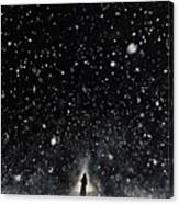 Premium Falling Snow Down On The Black Background. Canvas Print