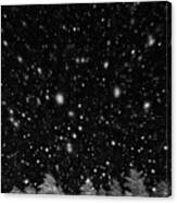 Premium Falling Snow Isolated On Black Background Canvas Print