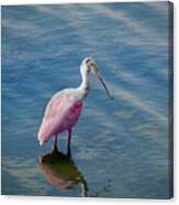 Pretty In Pink Canvas Print