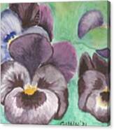 Pretty Purple Pansies Canvas Print