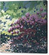 Prospect Park Flowering Azalea 1982 Canvas Print
