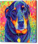 Psychedelic Rainbow Rottweiler Canvas Print