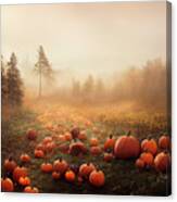 Pumpkins In Autumn Forest. Canvas Print