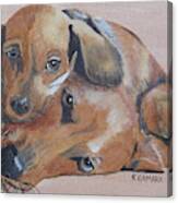 Puppies Cuddling Canvas Print