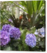 Purple And Blue Hydrangeas Canvas Print