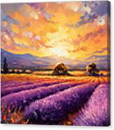 Purple And Sunset In Harmony Canvas Print