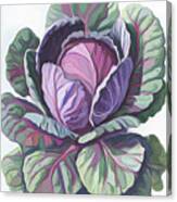 Purple Cabbage Painting Canvas Print