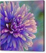 Lilac Purple Perfection Canvas Print