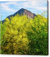 Pusch Peak Spring 25093 Canvas Print