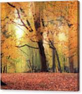 October Woodland Foliage Canvas Print