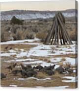 Quail At Thunder Visions Ranch Canvas Print