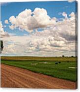 Quiet Resting Place Canvas Print