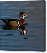 Mighty Ducks - Quack Quack Photographic Print for Sale by rachaelthegreat