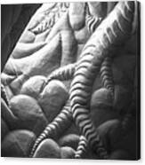 Ra Paulette Cave Sculpture Canvas Print