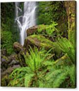 Rain Forest Waterfall Canvas Print